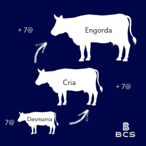 7@ desmama, +7@ na cria e +7@ na engorda